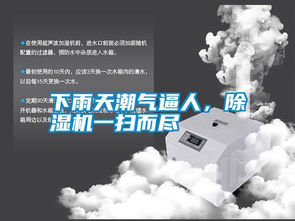 下雨天潮氣逼人，除濕機一掃而盡