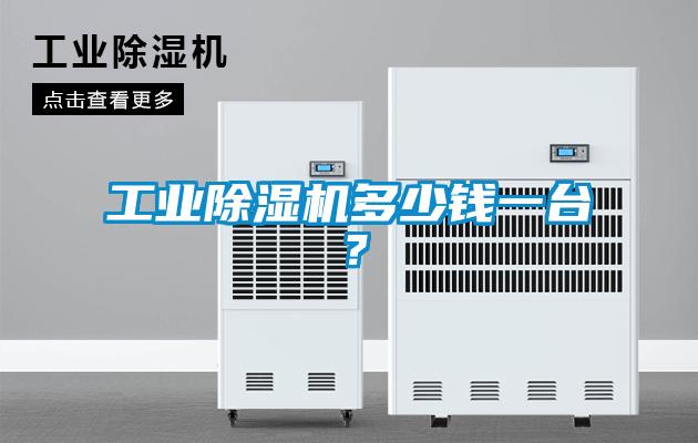 工業(yè)除濕機(jī)多少錢一臺?