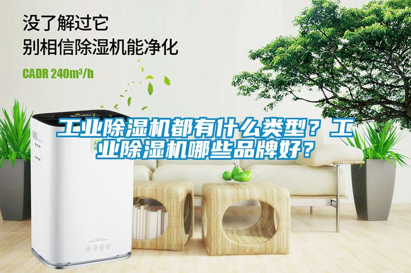 工業(yè)除濕機(jī)都有什么類型?工業(yè)除濕機(jī)哪些品牌好?