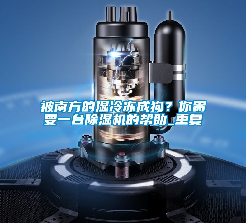被南方的濕冷凍成狗?你需要一臺除濕機的幫助_重復