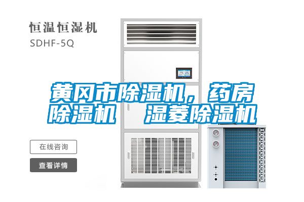 黃岡市除濕機(jī),藥房除濕機(jī) 濕菱除濕機(jī)